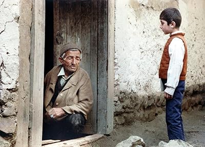 Babek Ahmedpoor